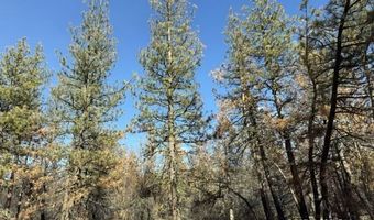 Hummingbird Drive, Bonanza, OR 97623