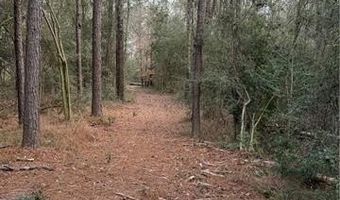 TBD 6.982 AC PROVIDENCE ESTATES Road lot 41A, Amite, LA 70422