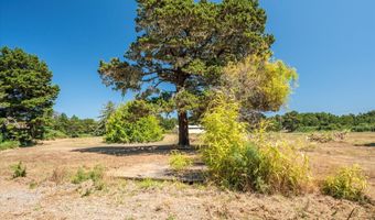 87363 Oberman Ln, Bandon, OR 97411