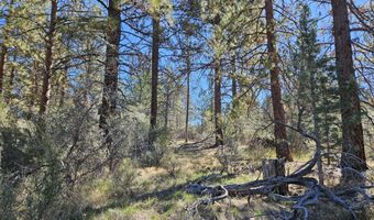 Jaguar Lane Lot 29, Bonanza, OR 97623