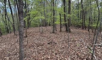 Mockingbird Ln, Bassett, VA 24055