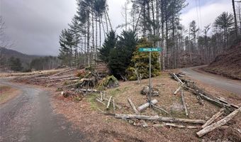 99999 Big Rock Creek Dr, Bakersville, NC 28705