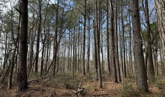 01 Bar M Farm, Andalusia, AL 36421