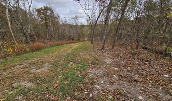 6 76 Ac Town Hollow Rd, Anderson, MO 64831