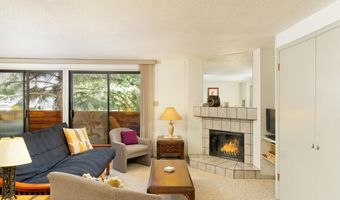 935 E Hopkins Ave 6, Aspen, CO 81611