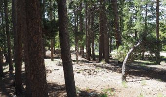 0 Caesar Rd, Black Hawk, CO 80422