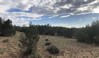 302-17 306 Haywire Rd, Ash Fork, AZ 86320