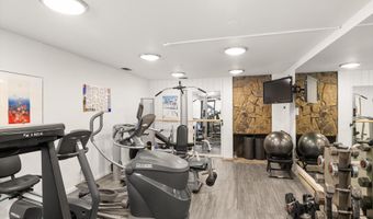 1039 E COOPER Ave 21A, Aspen, CO 81611