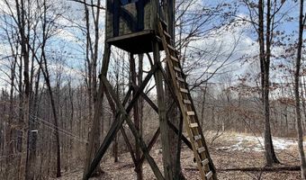 3938 Saint Clara Rd, Alum Bridge, WV 26321
