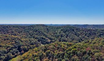 1076 Big Run Rd, Alma, WV 26320