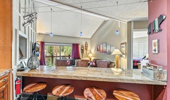 550 S FRENCH St 205, Breckenridge, CO 80424