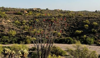 39585 N OCOTILLO RIDGE Dr 1, Carefree, AZ 85377