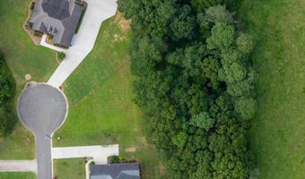 Lot 12 Mitchem Lane, Albertville, AL 35951