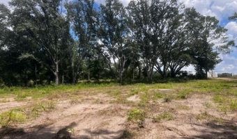 3109 US Hwy 129, Bell, FL 32619