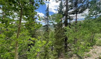 847 County Road 787, Alma, CO 80420
