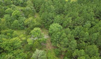 428665 E 1920 Rd, Antlers, OK 74523