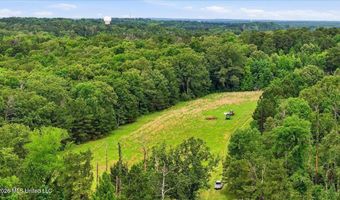 Vine Drive, Brandon, MS 39047