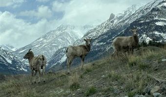2433 Southfork Rd, Cody, WY 82414