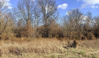 0002 CR-290, Asbury, MO 64832
