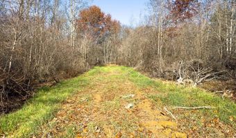 0 W Captina Highway Rd, Alledonia, OH 43902