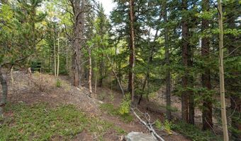 452 QUARTZVILLE Rd, Alma, CO 80420