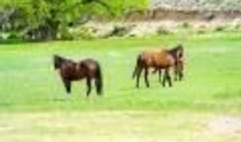 1090 W Cherry Creek Rd, Ely, NV 89301