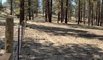 0 Mina Bird Lot 7 & 8, Bonanza, OR 97623