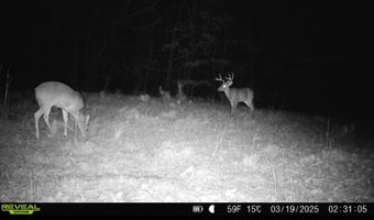 3 County Road 5112, Ethel, MS 38829
