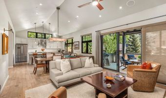 102 Wild Spring Ln, Basalt, CO 81621
