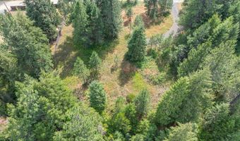 NKA E Forest View Rd, Athol, ID 83801
