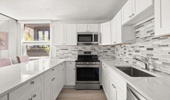 605 E Main St #9, Aspen, CO 81611