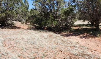 Ranch And Cattle lot 13, Ash Fork, AZ 86320
