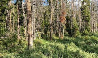 Tbd Grouse Hill, Anaconda, MT 59711