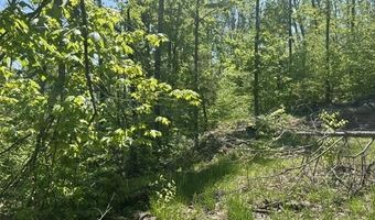 5436 Valley Rd, Alanson, MI 49706