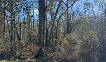S Caulie Harris Rd. lot 3, Adel, GA 31620