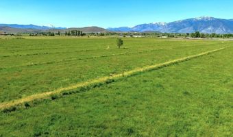 Pinenut Road, Gardnerville, NV 89410