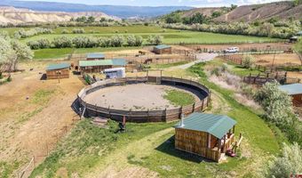10341 Tongue Creek Rd, Austin, CO 81410