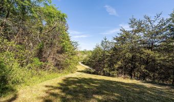110 Keller Rd, Afton, TN 37616
