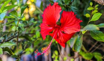 140 UWAPO Rd 36-104, Kihei, HI 96753