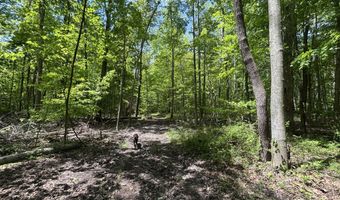V/L 43.5A 104th Avenue, Allegan, MI 49010