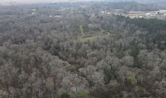 U.S. Highway 51, Bogue Chitto, MS 39629