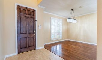 428 Long Cove Ct, Allen, TX 75002