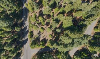 403 Sierra Pkwy, Camp Connell, CA 95223