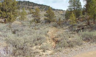 Tbd Rattlesnake Ln, Unity, OR 97884