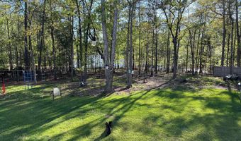 1903 Brant Pt, Chapin, SC 29036