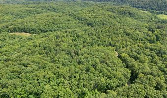 2401 Bell Point Rd, Beattyville, KY 41311