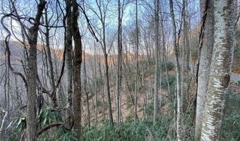 2 13 Acres Big Ridge Rd, Bakersville, NC 28705