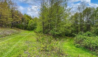 State Route 28 lot # 10, Andes, NY 13731