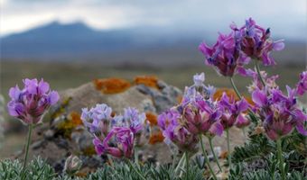 Tbd Richland Trail Clark Wyoming 80, Clark, WY 82435