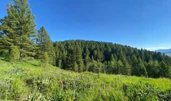 400 GROVER DRY FARM Rd, Afton, WY 83110